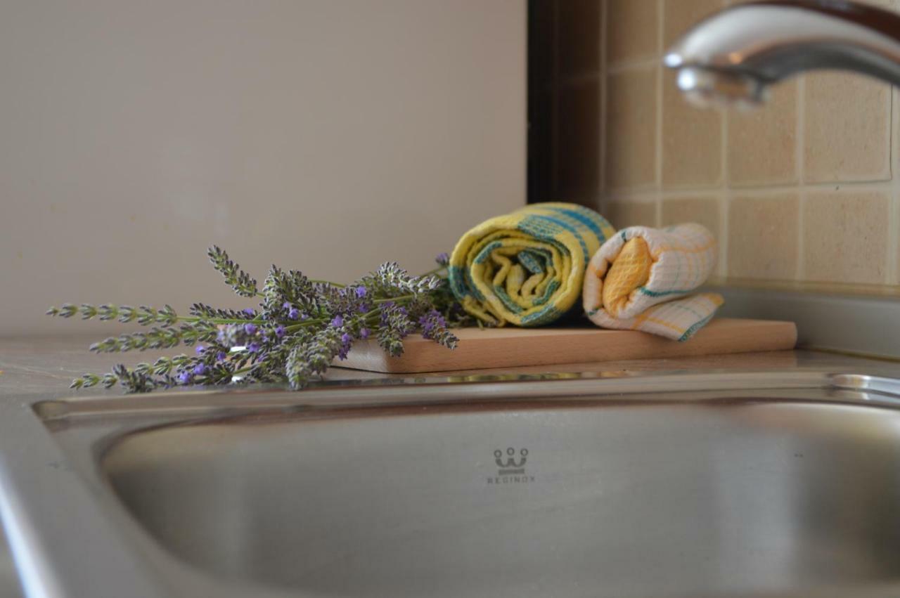 Appartamento Apartman Lucija Pridraga Esterno foto