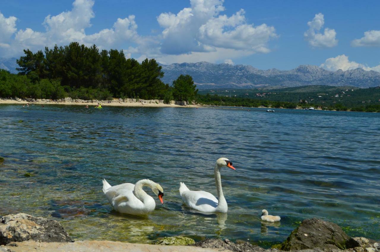 Appartamento Apartman Lucija Pridraga Esterno foto